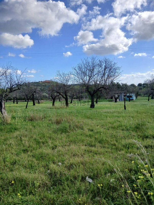 terreno in vendita ad Avola