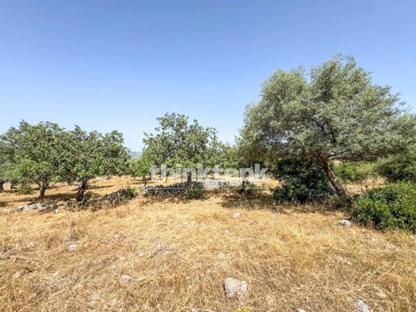 terreno agricolo in vendita a Buccheri