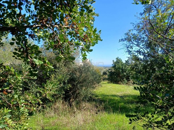 terreno agricolo in vendita a Buccheri
