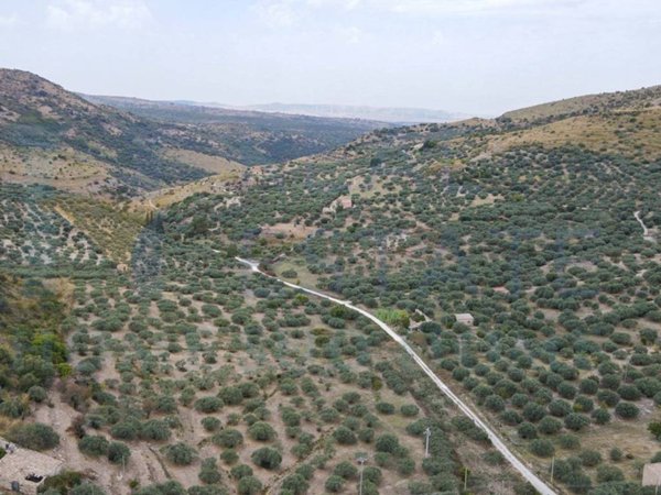 casale in vendita a Buccheri