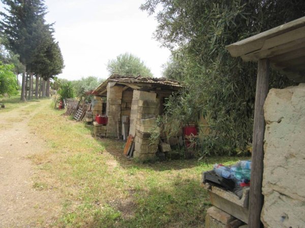 terreno agricolo in vendita a Buccheri