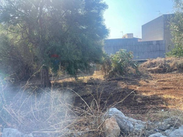 terreno edificabile in vendita a Buccheri