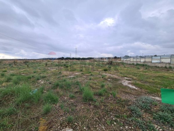 terreno agricolo in vendita a Buccheri