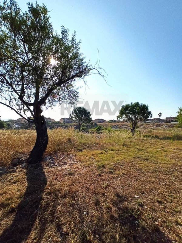 terreno edificabile in vendita a Buccheri