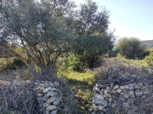terreno agricolo in vendita a Buccheri