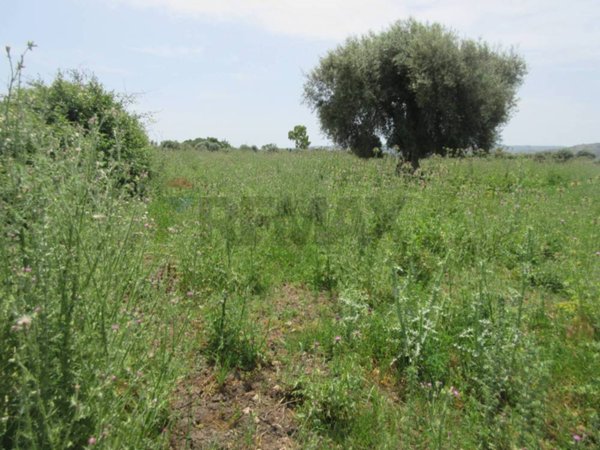 capannone in vendita a Buccheri