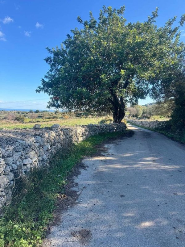 terreno agricolo in vendita a Buccheri