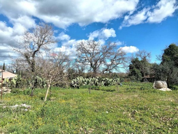 terreno agricolo in vendita a Buccheri