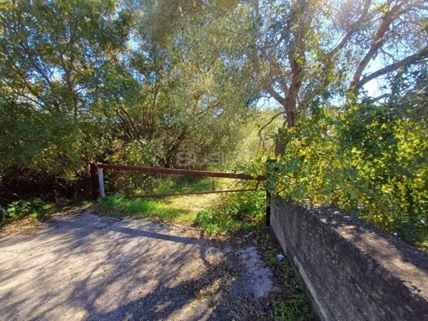 casa indipendente in vendita a Buccheri
