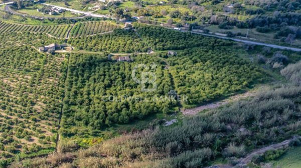terreno agricolo in vendita a Buccheri