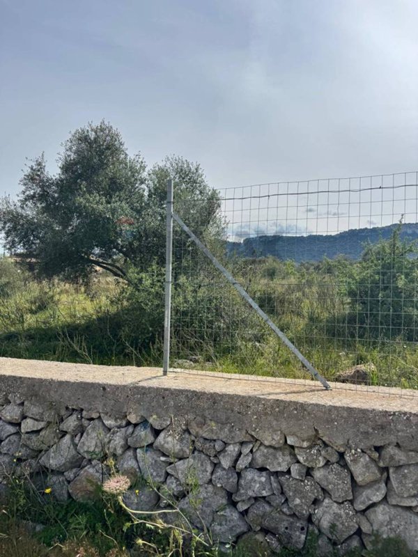 terreno edificabile in vendita a Buccheri