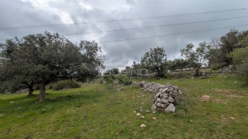 terreno agricolo in vendita a Buccheri