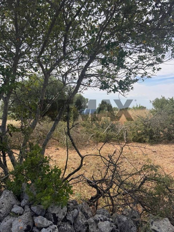 terreno agricolo in vendita a Buccheri