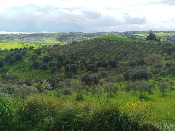 casa indipendente in vendita a Buccheri