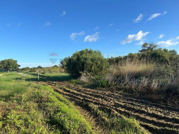 terreno agricolo in vendita a Buccheri