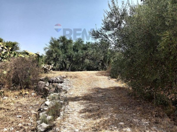terreno in vendita a Buccheri