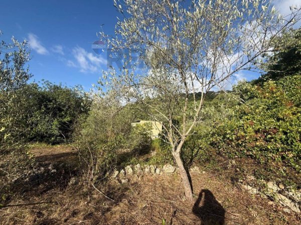 casa indipendente in vendita a Buccheri