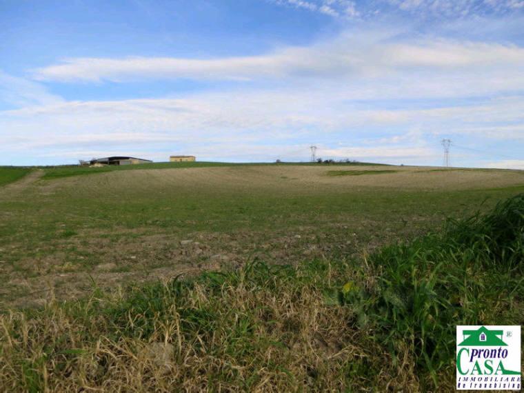 terreno agricolo in vendita a Buscemi