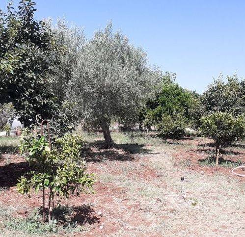 casa indipendente in vendita a Canicattini Bagni