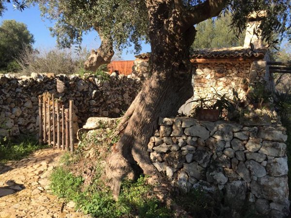 casa indipendente in vendita a Canicattini Bagni