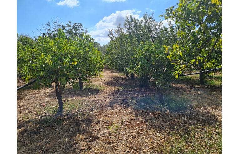 terreno agricolo in vendita a Canicattini Bagni