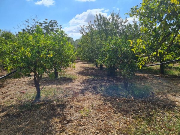 terreno agricolo in vendita a Canicattini Bagni