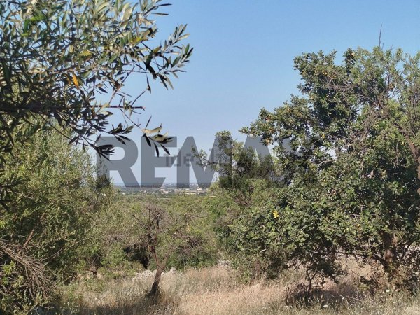 terreno agricolo in vendita a Canicattini Bagni