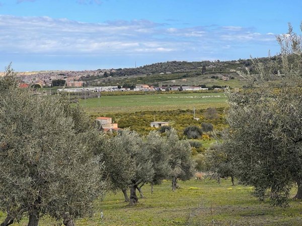 terreno agricolo in vendita a Carlentini