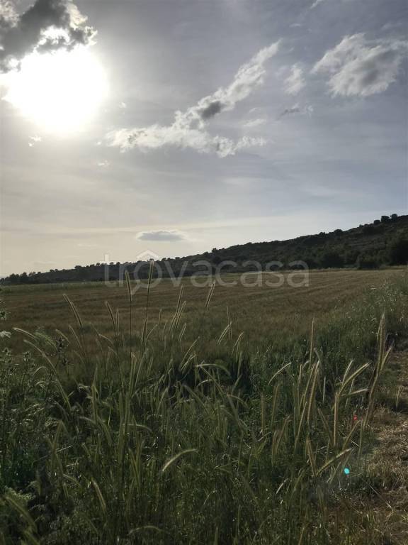 terreno agricolo in vendita a Carlentini in zona Pedagaggi