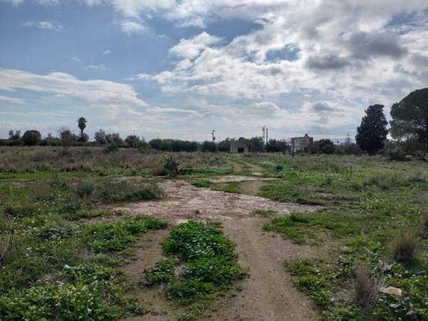 terreno agricolo in vendita a Carlentini