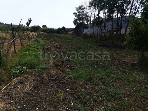 terreno agricolo in vendita a Carlentini