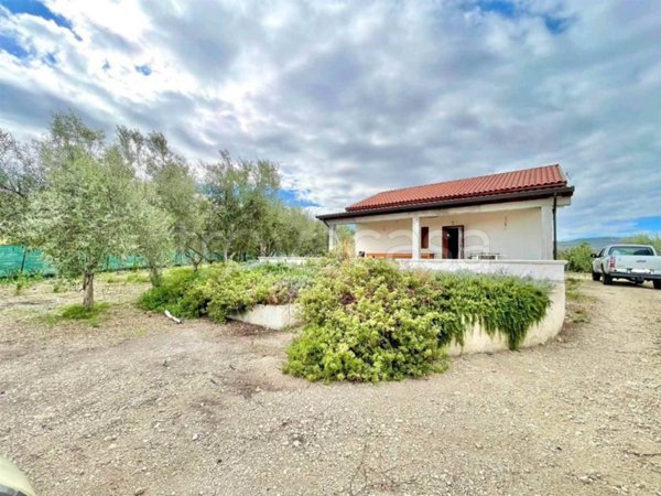 terreno agricolo in vendita a Carlentini in zona Pedagaggi