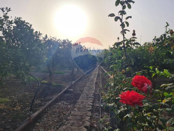 terreno agricolo in vendita a Carlentini