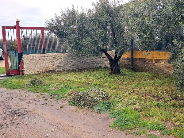 casa indipendente in vendita a Carlentini