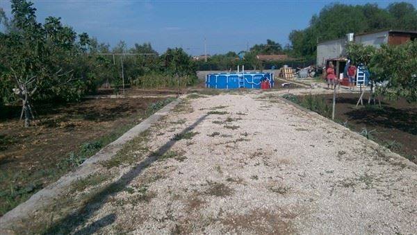 terreno agricolo in vendita a Carlentini