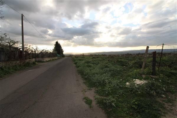 terreno agricolo in vendita a Carlentini