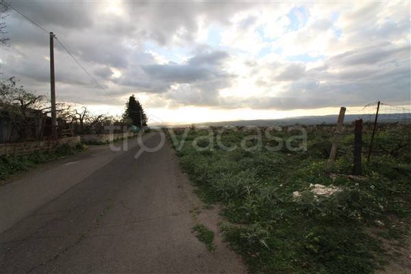 terreno agricolo in vendita a Carlentini