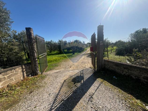 terreno agricolo in vendita a Carlentini