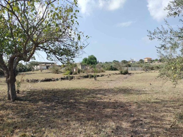 terreno agricolo in vendita a Carlentini