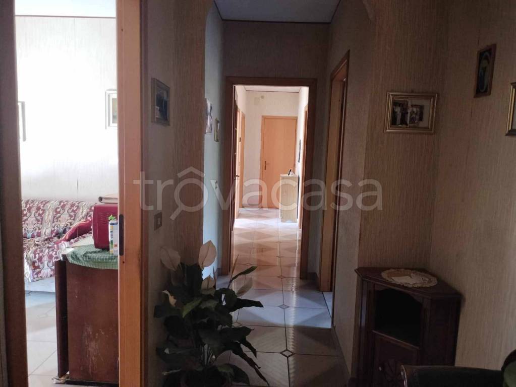 appartamento in vendita a Carlentini