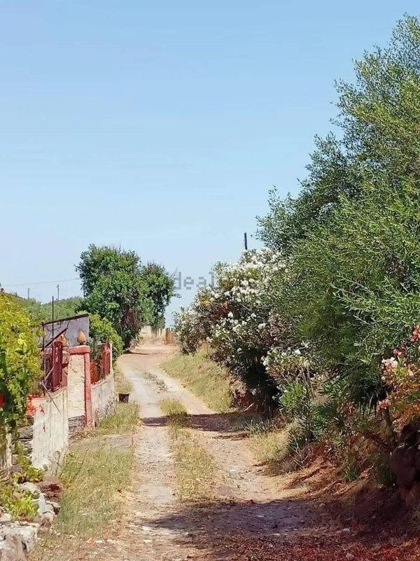 quadrivano in vendita a Carlentini