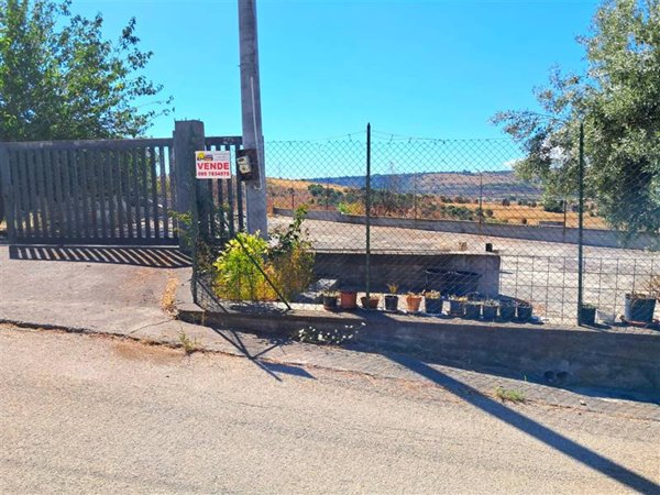 terreno agricolo in vendita a Carlentini