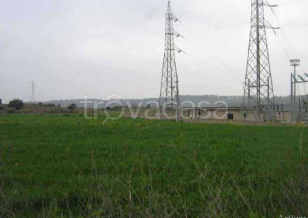 terreno agricolo in vendita a Carlentini