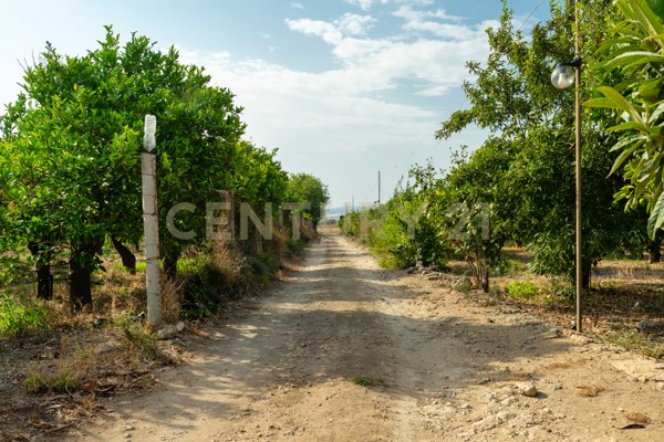casa indipendente in vendita a Carlentini