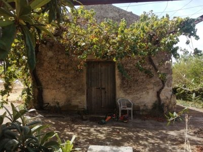 terreno agricolo in vendita a Carlentini