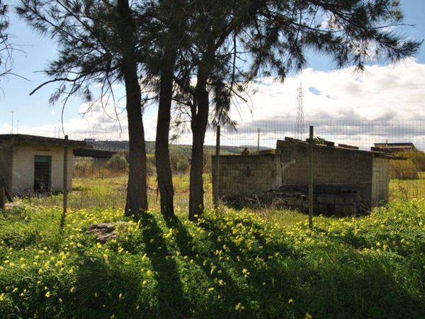 terreno agricolo in vendita a Carlentini