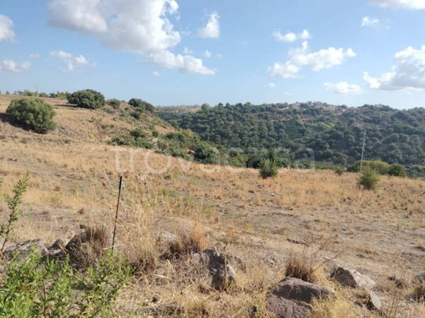 terreno agricolo in vendita a Carlentini