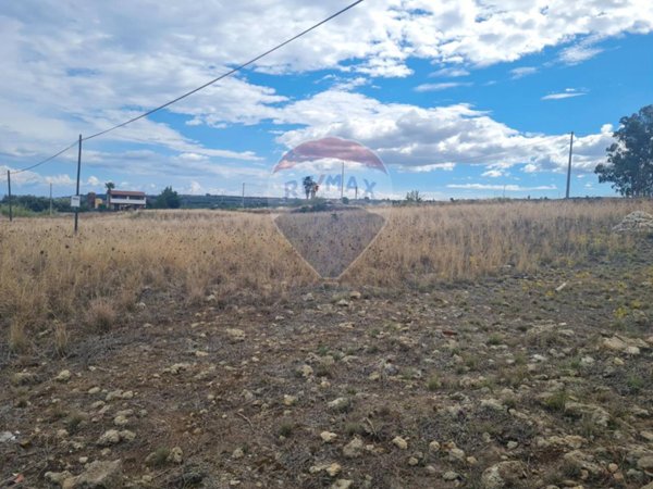 terreno agricolo in vendita a Carlentini