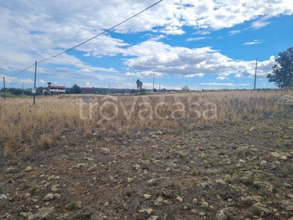 terreno agricolo in vendita a Carlentini