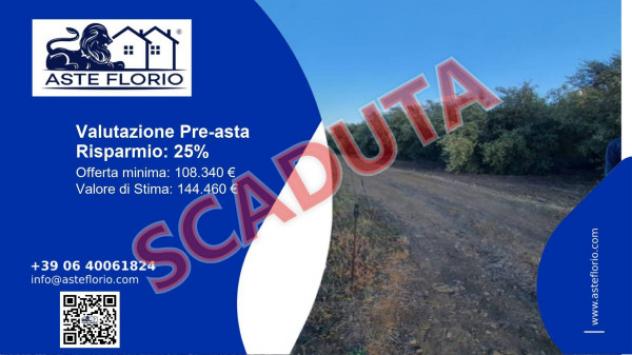 terreno agricolo in vendita a Carlentini